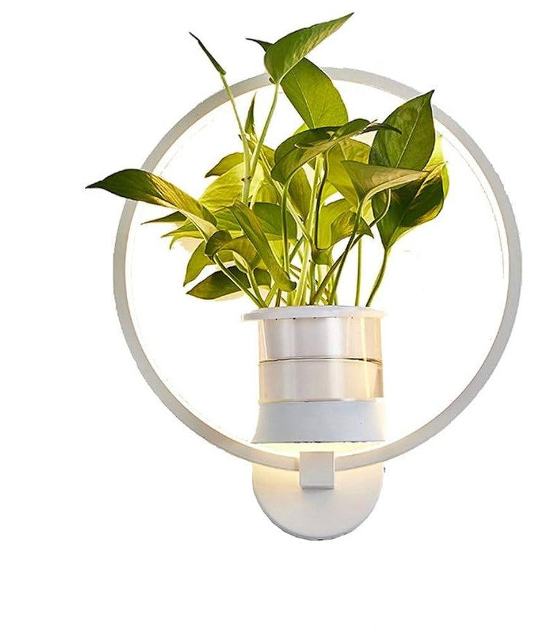 Botanical-Themed Wall Lamp - Lamylie