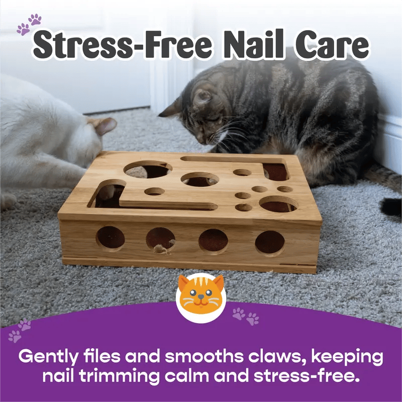 Caja de actividades y rompecabezas para rascar para gatos - Lamylie