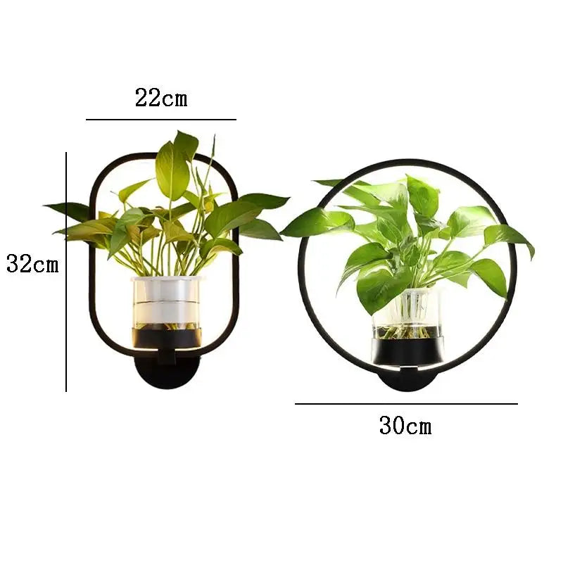 LED Botanical Wall Light with Glass Vase – Oval & Round - Lamylie