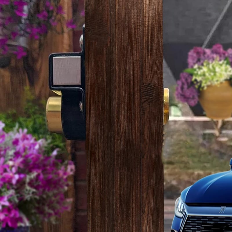 Cerradura para puerta con llave | Antióxido | Pestillo de resorte | GateSecure - Lamylie