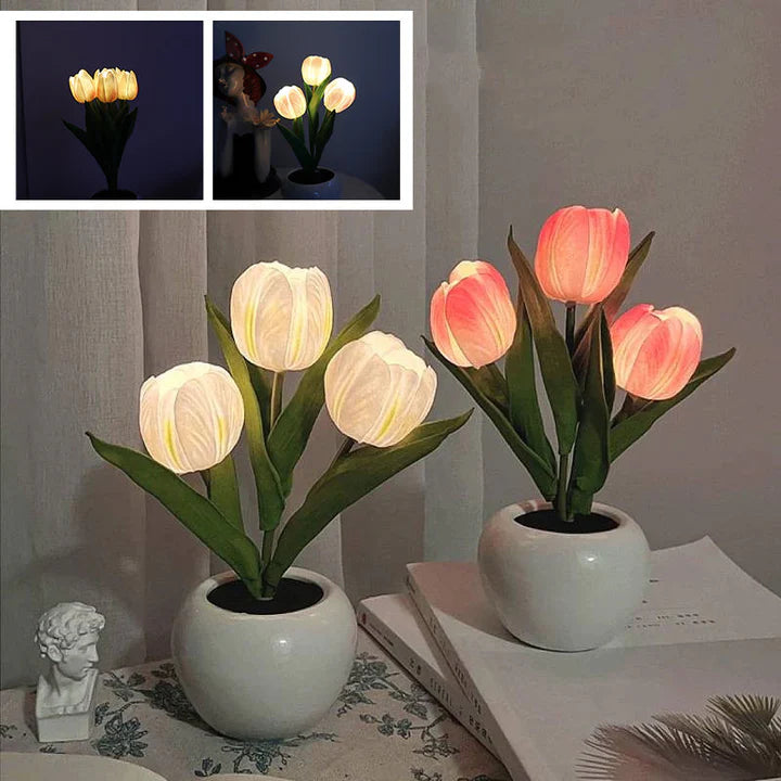 Tulip LED Desk Lamp in Ceramic Vase – Warm Ambient Light - Lamylie