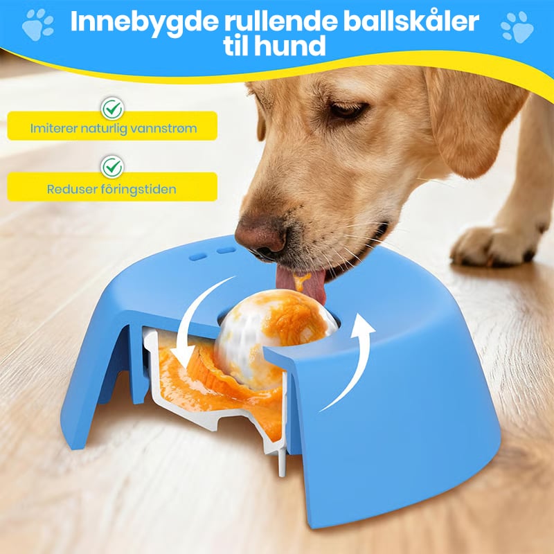 Una solución para que los perros beban con calma, digieran sin estrés y estén felices - Lamylie