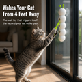 Feline Frenzy — הפעילו את מצב הציד ברגע שהחתול שלכם חולף על פניכם - Lamylie