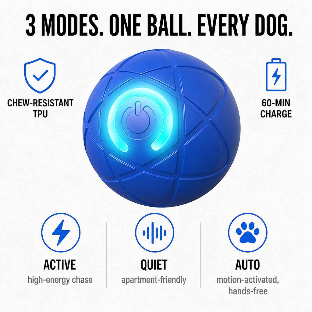 DashRoll——免手持工作时，也能消耗狗狗的精力 - Lamylie