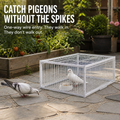 FeatherGuard — Captura humanamente las palomas que destrozan tu jardín, sin púas ni veneno - Lamylie