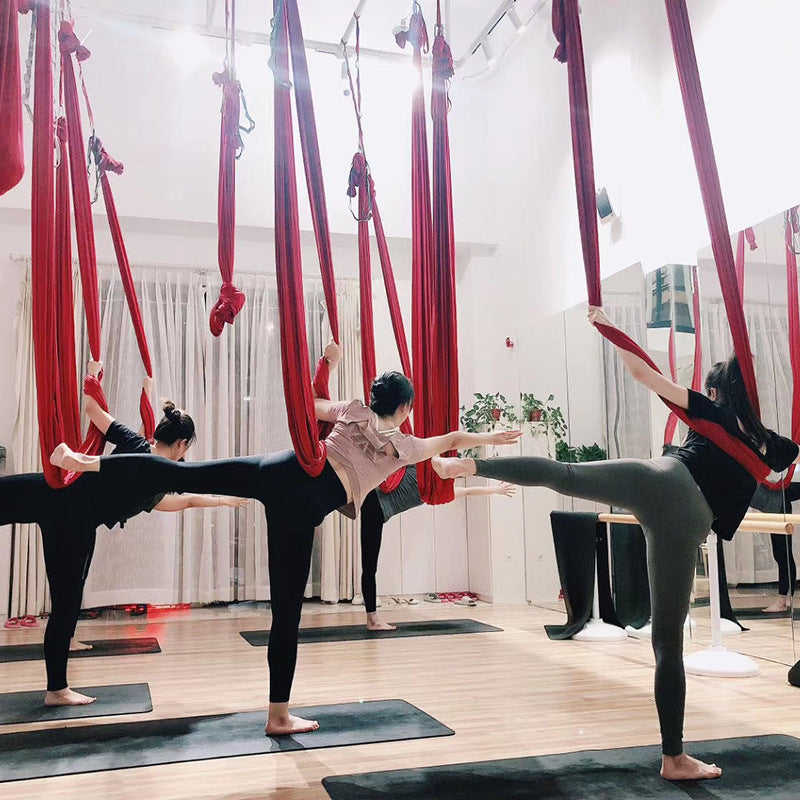 Aerial Yoga Swing | Indoor Hanging Swing for Movement & Relaxation - Lamylie