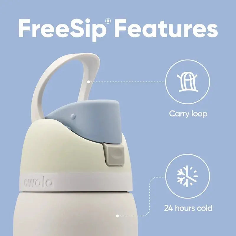 Stainless Steel Water Bottle 710ml with FreeSip Spout | Leakproof & 24h Cold | Ideal for Sports & Travel - Lamylie