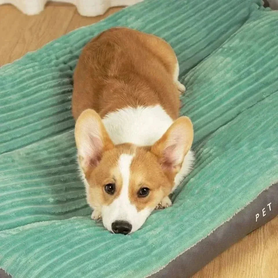 Lit orthopédique pour chien pour un sommeil confortable – Soutien optimal et douceur – Lamylie