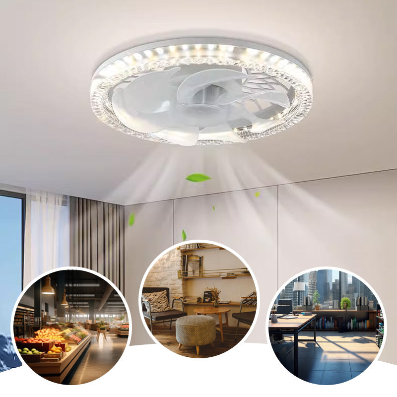Fan with Light | Soothing Light and Cool Breeze | Remote Control | 4 Settings - Lamylie