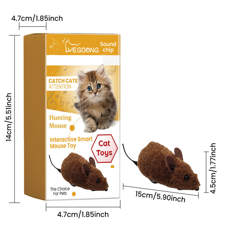 Endless Play Fun for Dogs and Cats - Lamylie