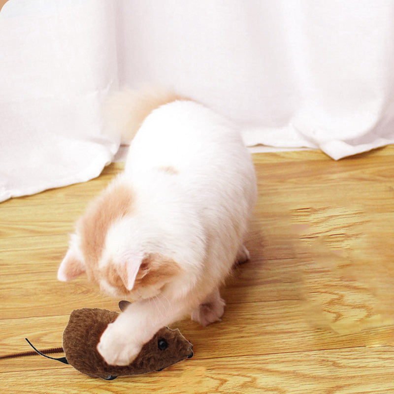 Endless Play Fun for Dogs and Cats - Lamylie