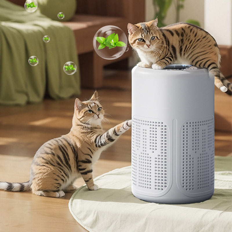 Purificador de aire compacto para el hogar - Lamylie