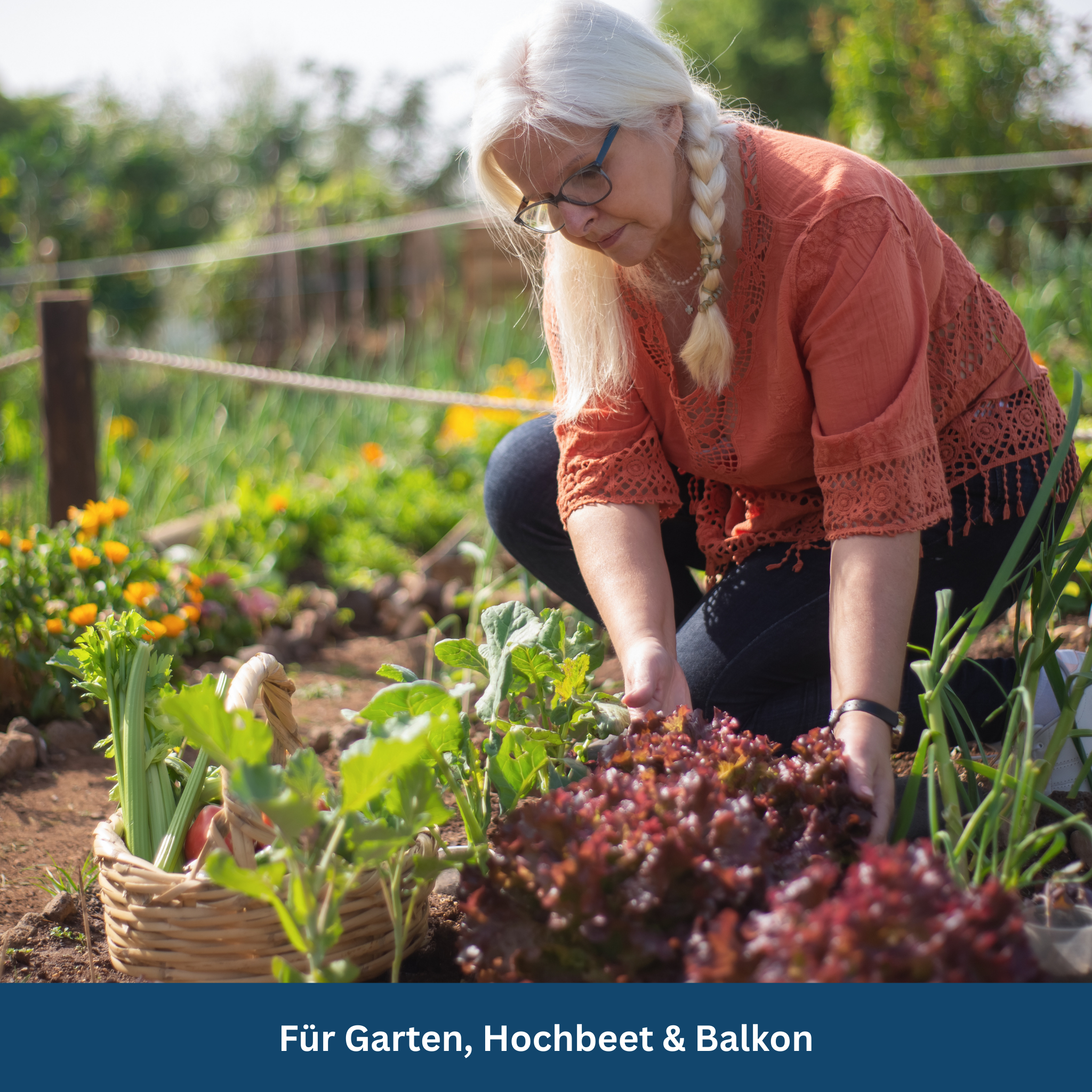Bio-Saatgut-Sortiment für den Überlebensgarten – über 35 Samensorten – Lamylie