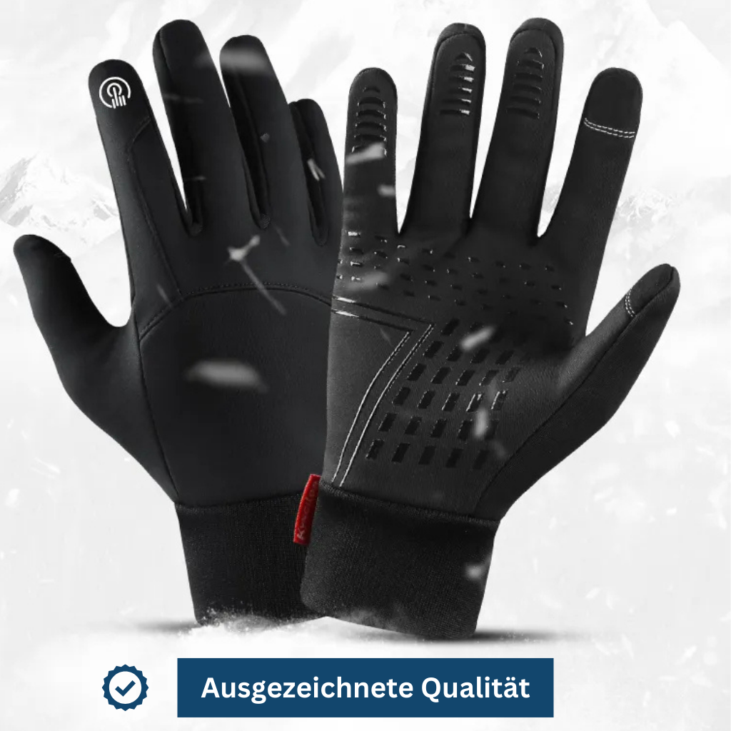 Cold Weather Thermal Gloves for Winter Use - Lamylie