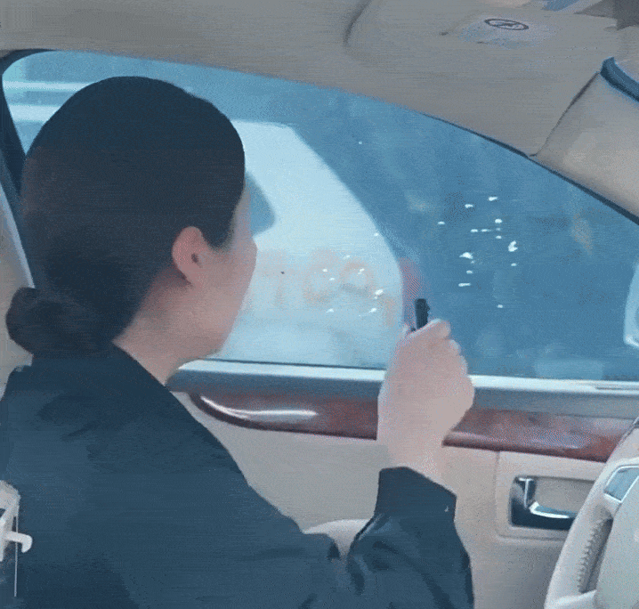 Strumento di sicurezza per auto: rompivetro e taglia cinture di sicurezza - Lamylie