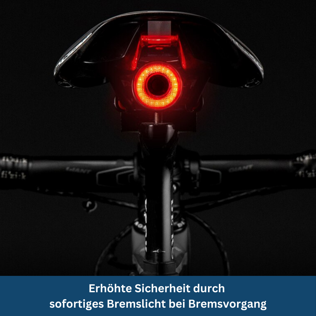 Motorcycle Safety Gear Kit - Lamylie