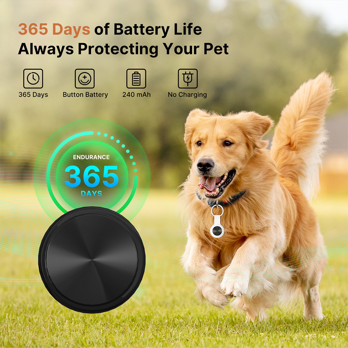 Tracker GPS per animali domestici - Dispositivo intelligente per la localizzazione - Lamylie