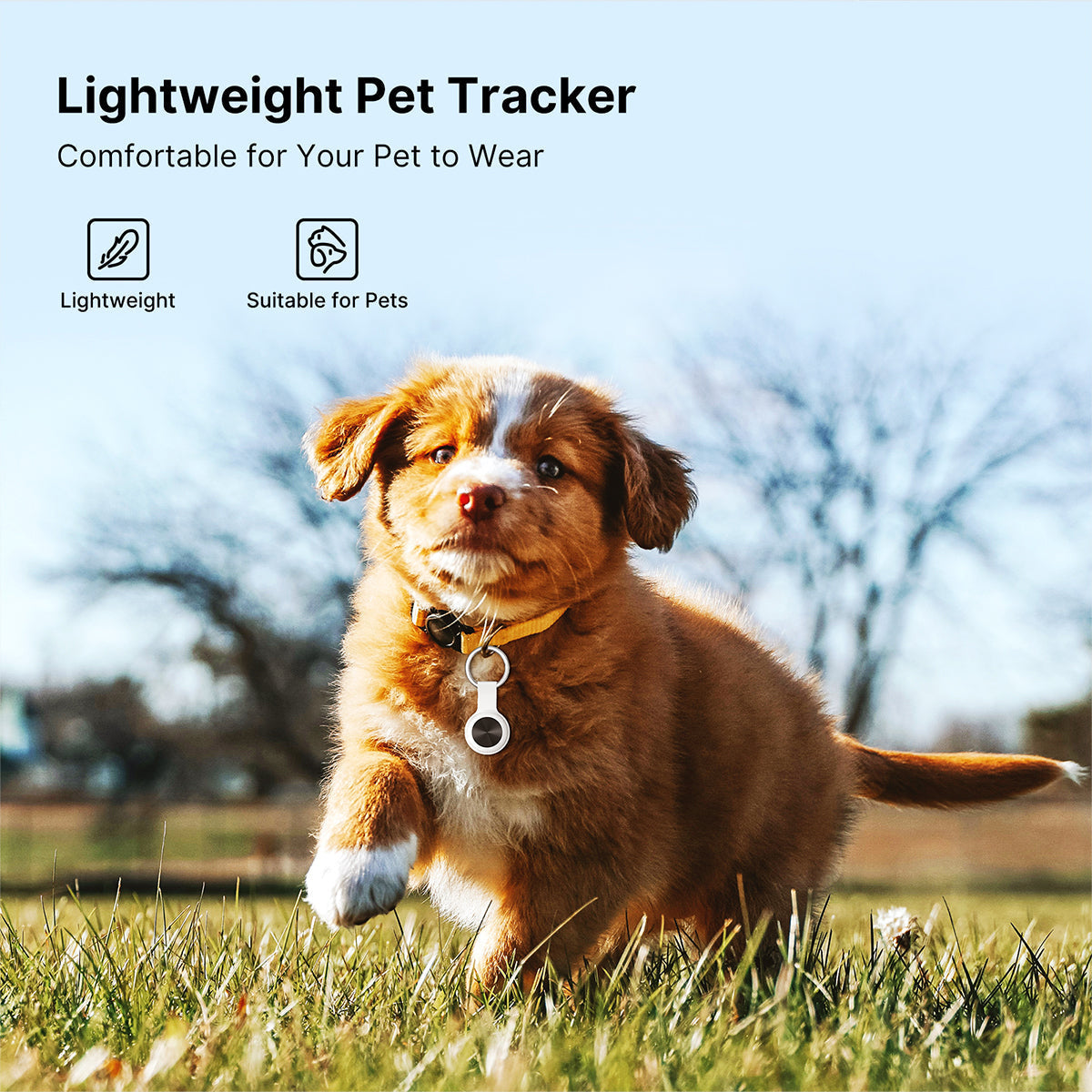 Tracker GPS per animali domestici - Dispositivo intelligente per la localizzazione - Lamylie